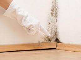 Professional Mold Prevention & Removal  in Defuniak Springs, FL